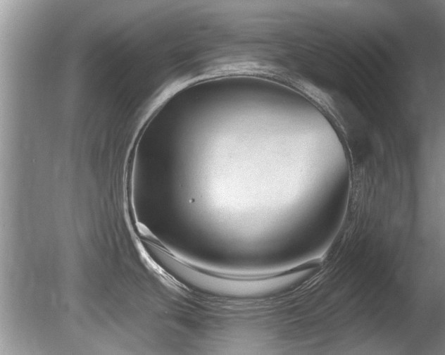 X0000080691439200612151237
