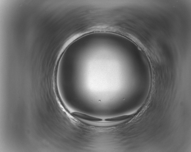 X0000080691440200612151237