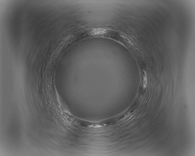 X0000080691441200612151236