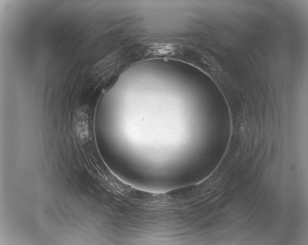 X0000080691442200612151236