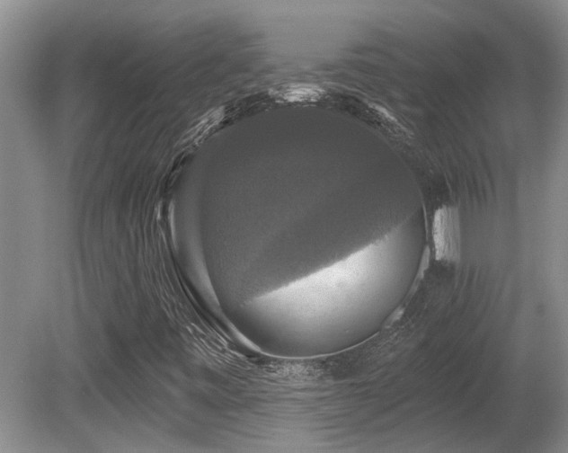 X0000080691443200612151236