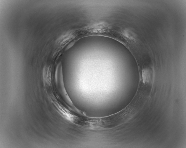X0000080691444200612151236