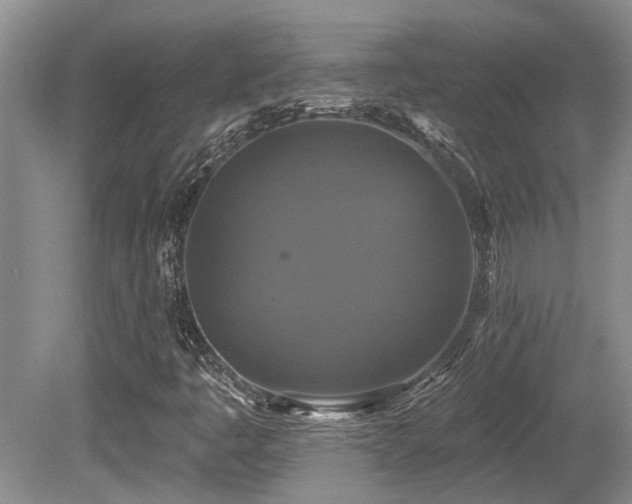 X0000080691445200612151236