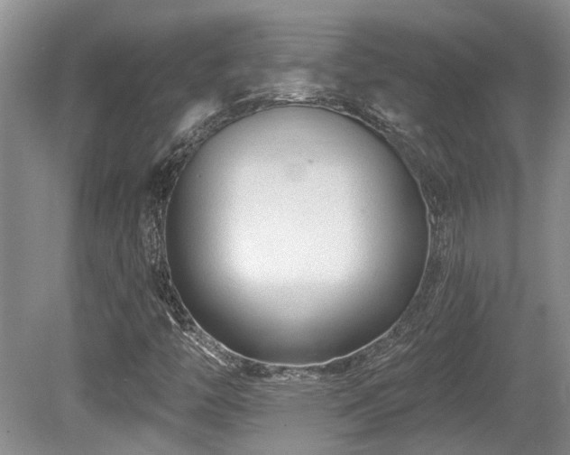 X0000080691446200612151236