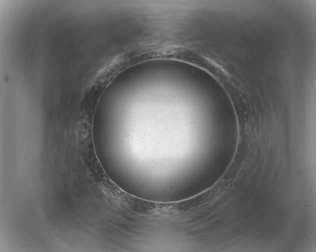 X0000080691447200612151236