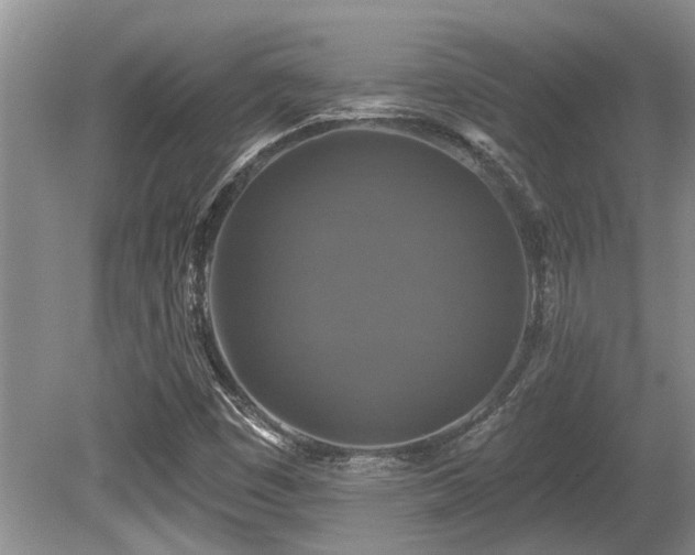 X0000080691449200612151236