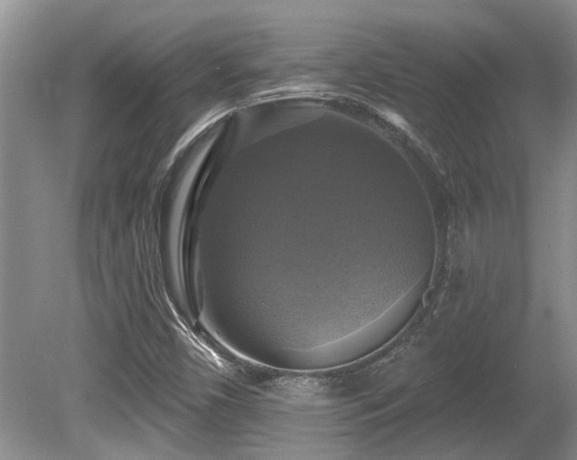 X0000080691450200612151236