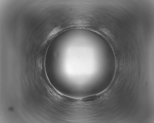 X0000080691451200612151236
