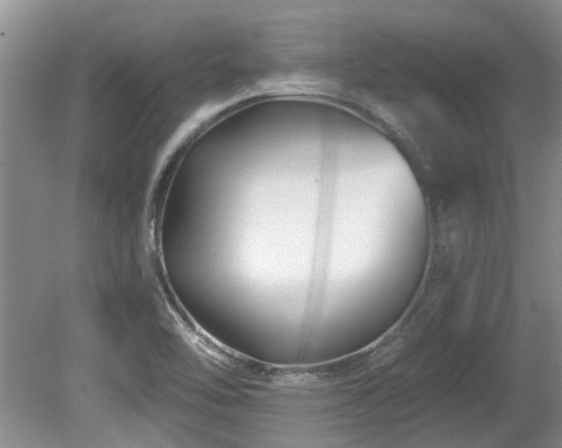 X0000080691462200612151236