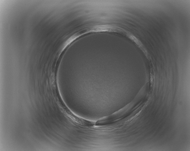 X0000080691465200612151236
