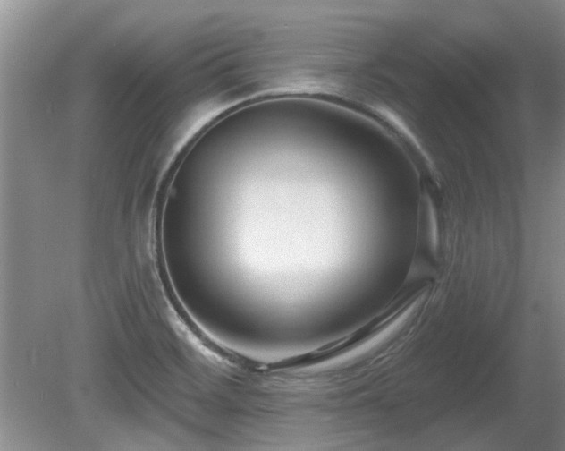 X0000080691468200612151236