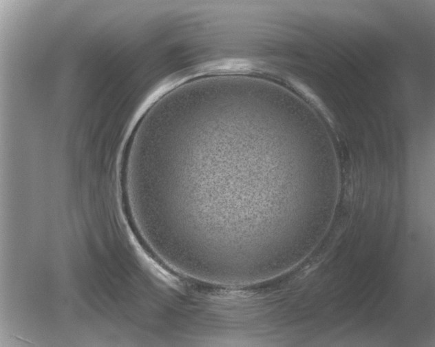X0000080691475200612151236