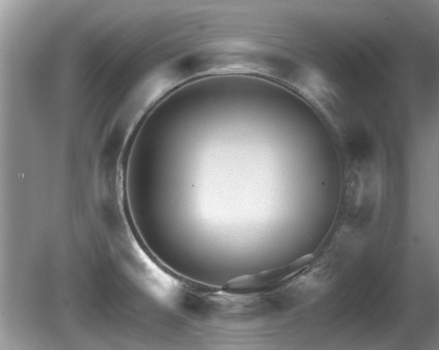 X0000080691476200612151236
