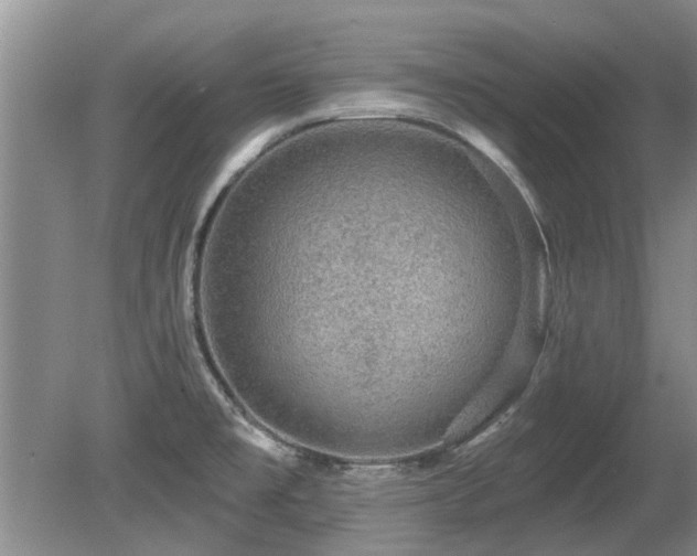 X0000080691477200612151236