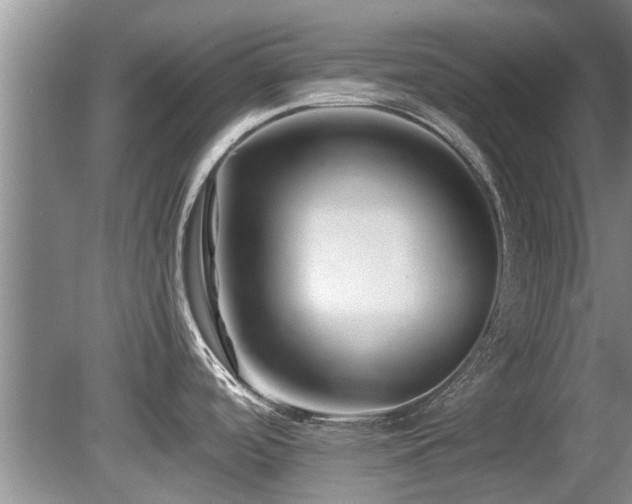 X0000080691488200612151236