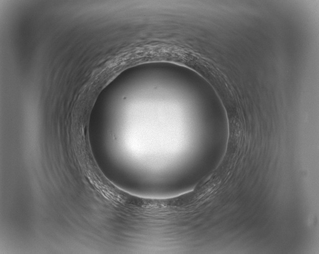 X0000080691489200612151235
