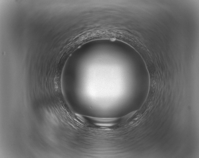 X0000080691490200612151235