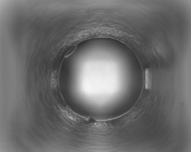 X0000080691491200612151235