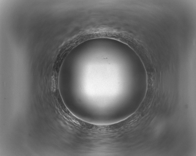 X0000080691493200612151235
