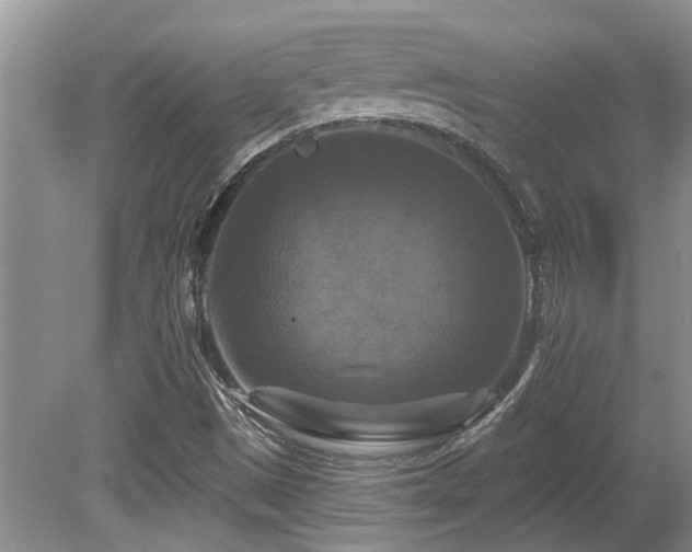 X0000080691497200612151235