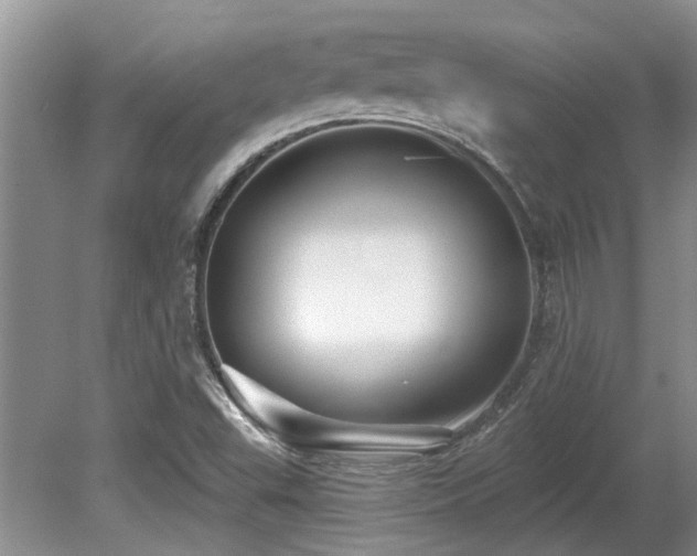 X0000080691503200612151235