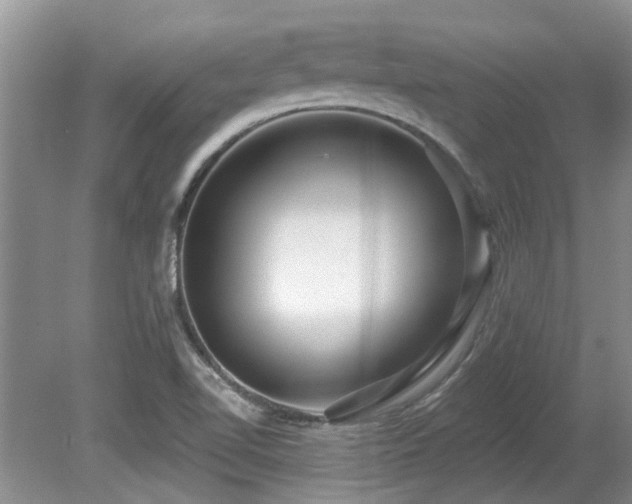 X0000080691510200612151235