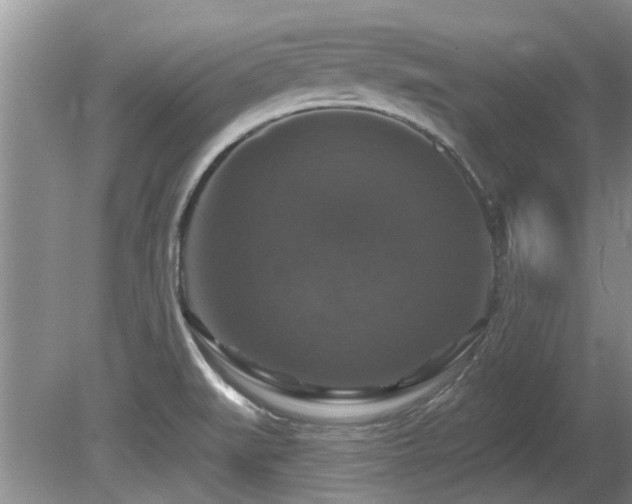 X0000080691519200612151235