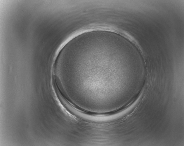 X0000080691520200612151235