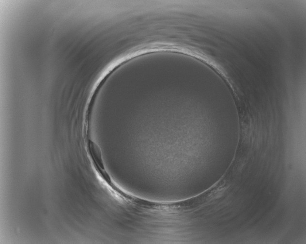 X0000080691527200612151236