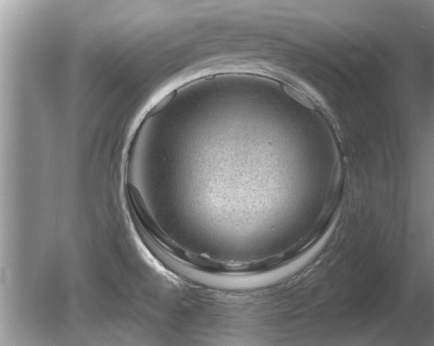 X0000080691528200612151236