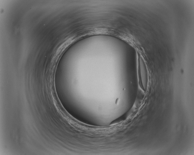 X0000080690001200612221104