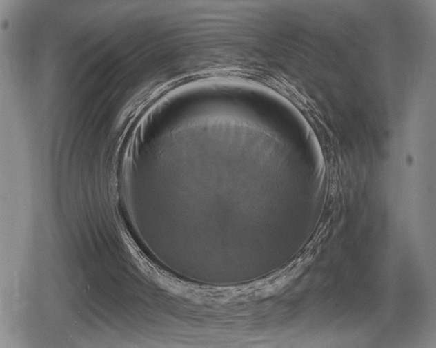 X0000080690002200612221104