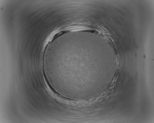 X0000080690003200612221104