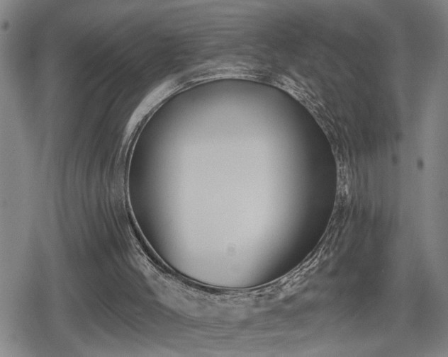 X0000080690004200612221104