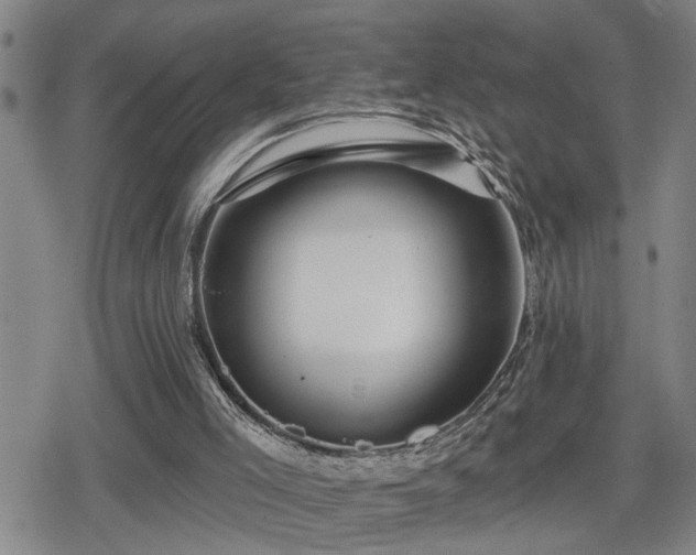 X0000080690005200612221104