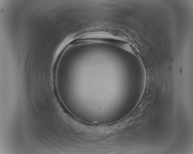 X0000080690006200612221104