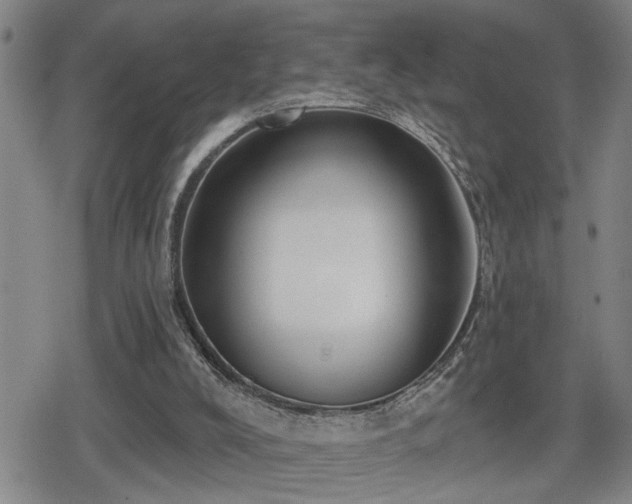 X0000080690008200612221104