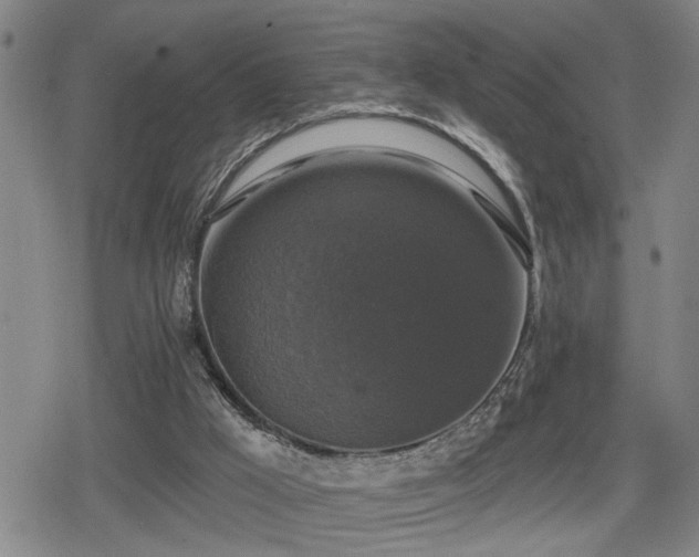 X0000080690009200612221104