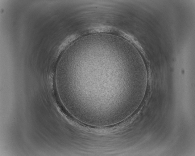 X0000080690010200612221104