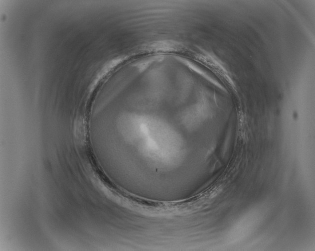 X0000080690012200612221104