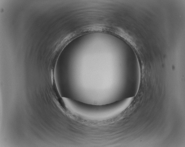 X0000080690013200612221104