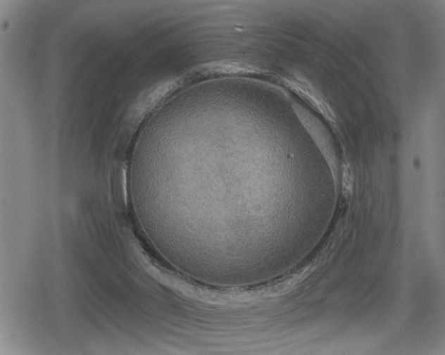 X0000080690014200612221104