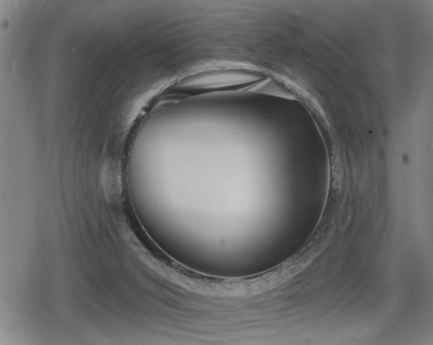 X0000080690015200612221104