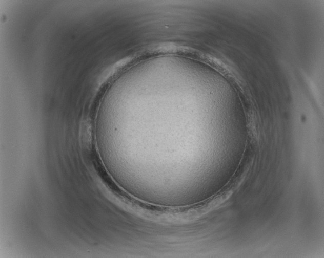 X0000080690016200612221104