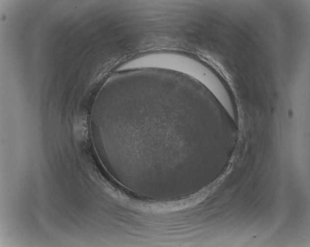 X0000080690017200612221104