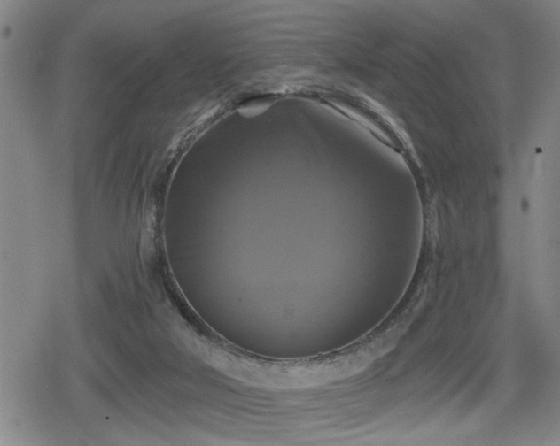 X0000080690018200612221104