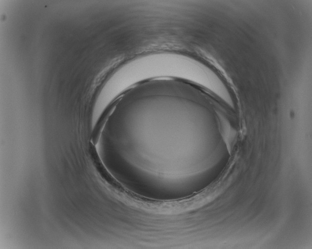 X0000080690019200612221104