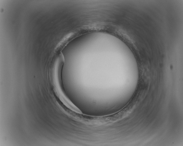 X0000080690020200612221104