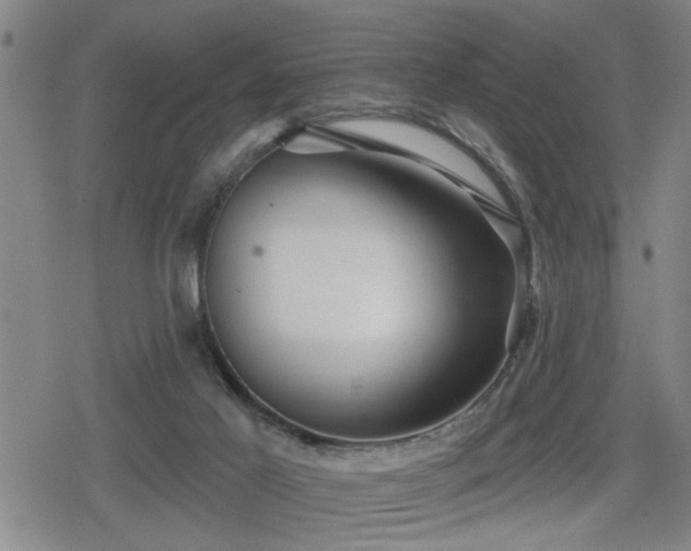 X0000080690021200612221104