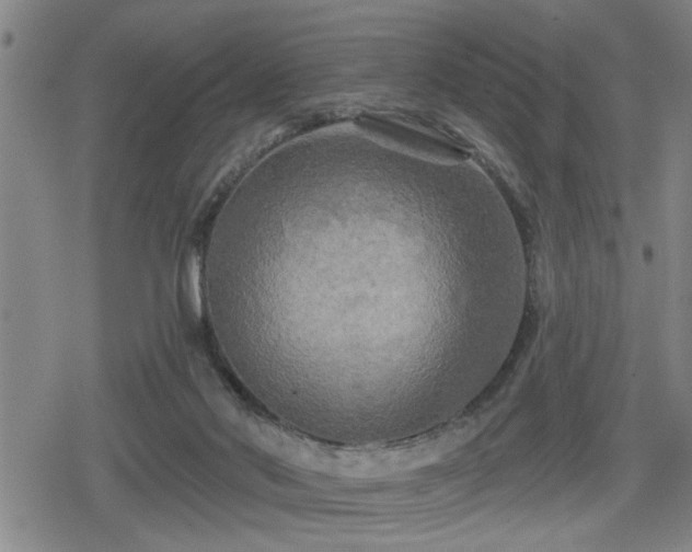 X0000080690022200612221104